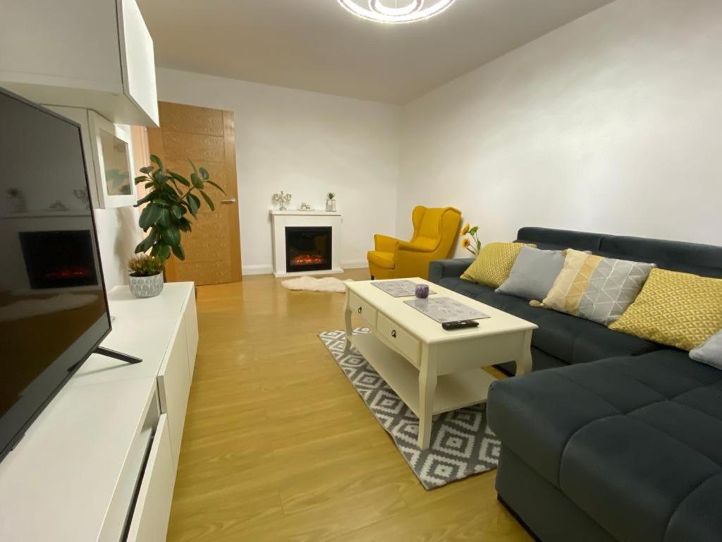 Bucovina View Apartment 坎普朗莫道尼斯 外观 照片