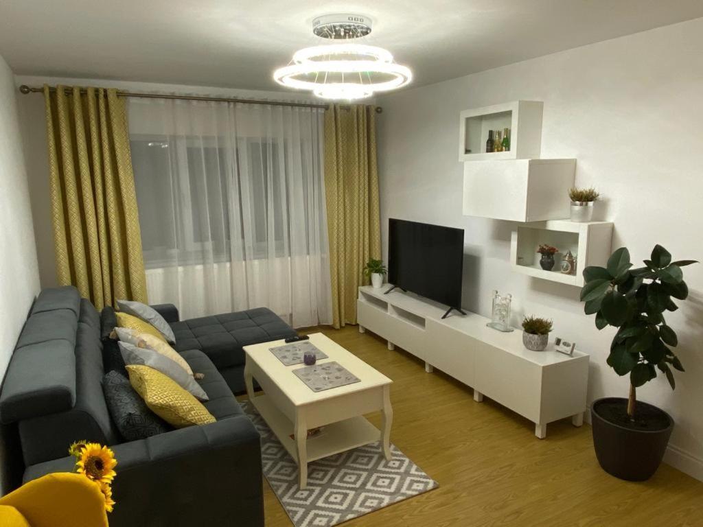 Bucovina View Apartment 坎普朗莫道尼斯 外观 照片