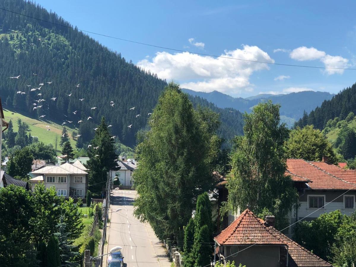 Bucovina View Apartment 坎普朗莫道尼斯 外观 照片
