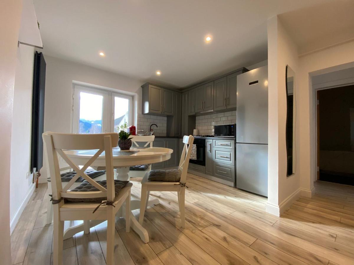 Bucovina View Apartment 坎普朗莫道尼斯 外观 照片