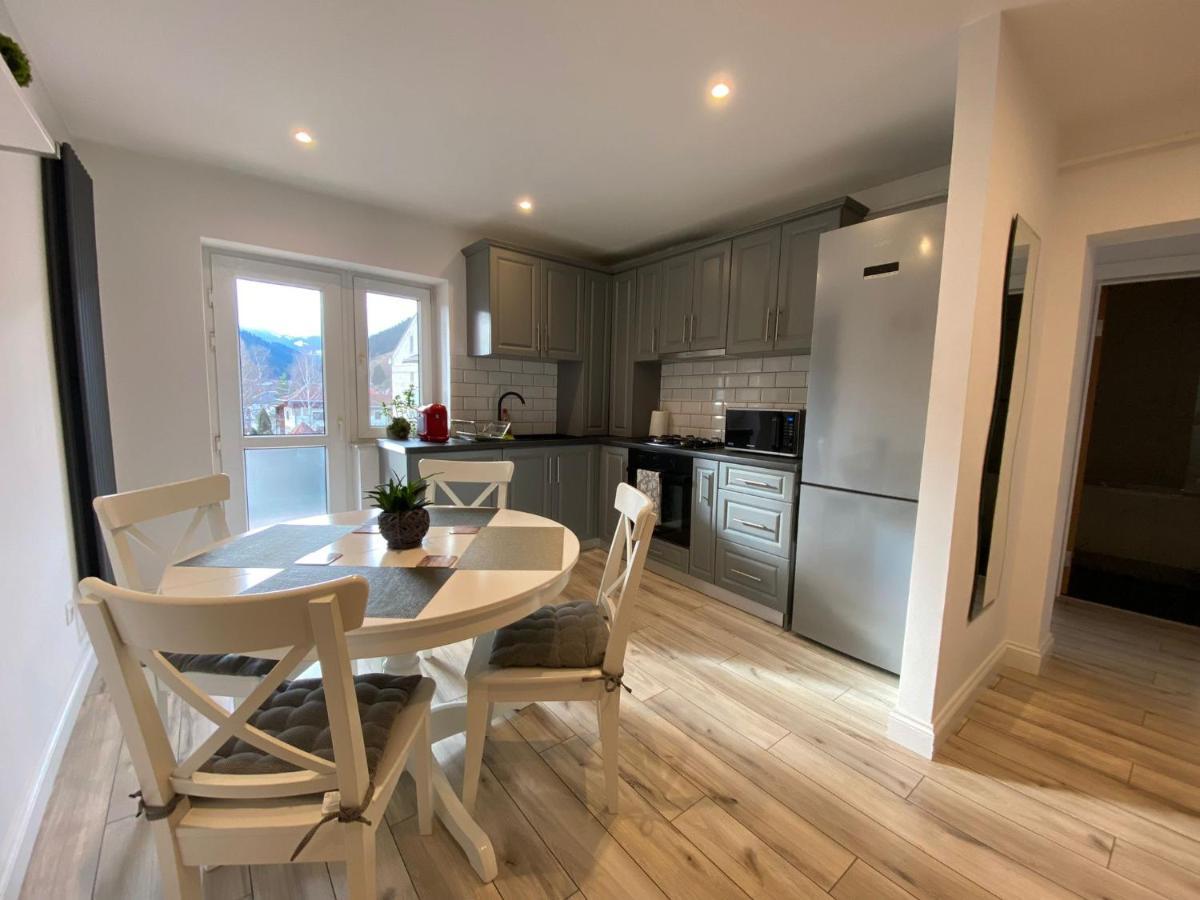 Bucovina View Apartment 坎普朗莫道尼斯 外观 照片