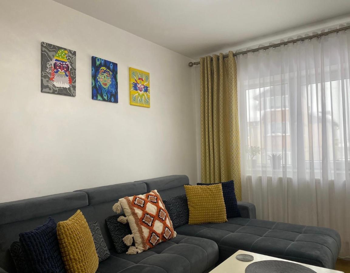 Bucovina View Apartment 坎普朗莫道尼斯 外观 照片