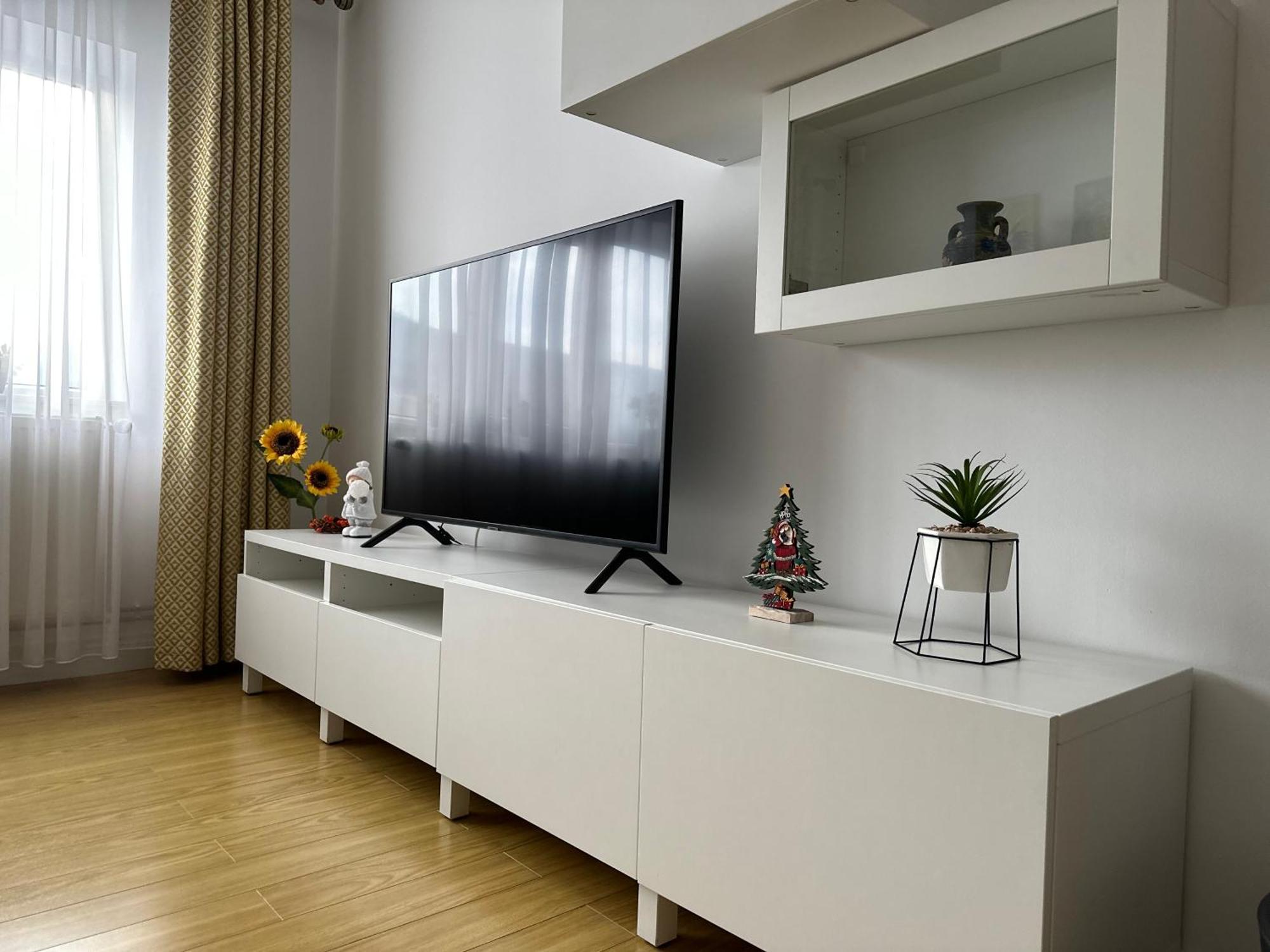Bucovina View Apartment 坎普朗莫道尼斯 外观 照片