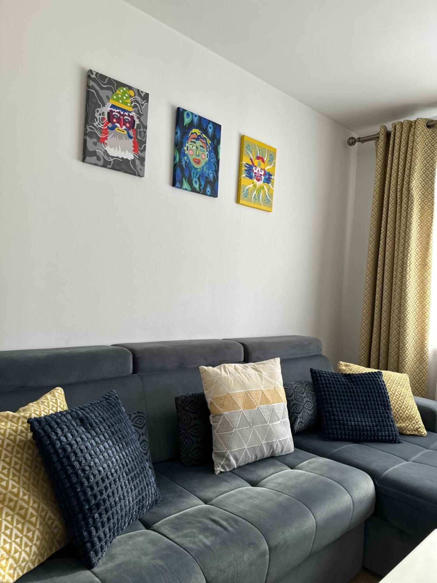 Bucovina View Apartment 坎普朗莫道尼斯 外观 照片