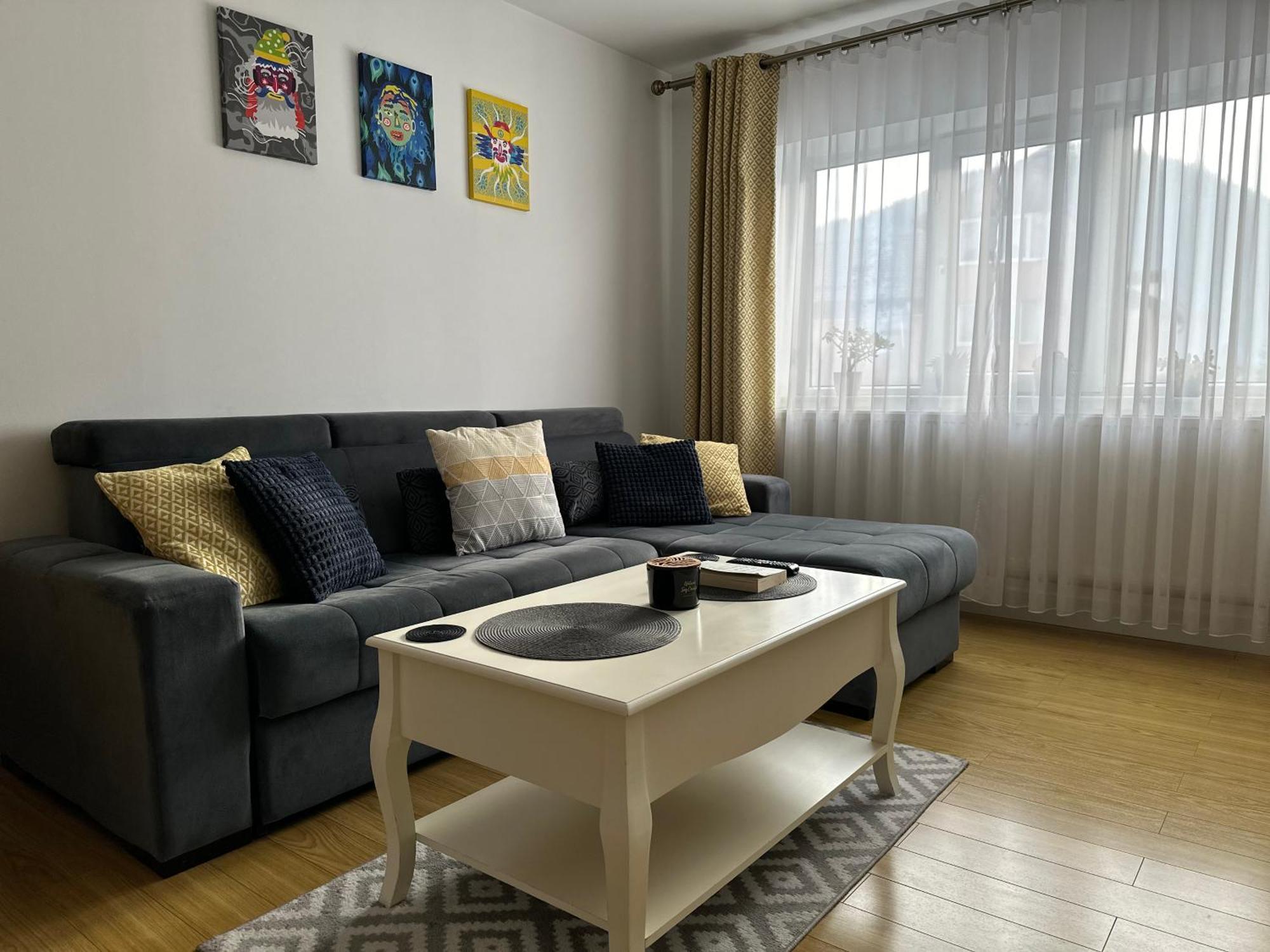 Bucovina View Apartment 坎普朗莫道尼斯 外观 照片