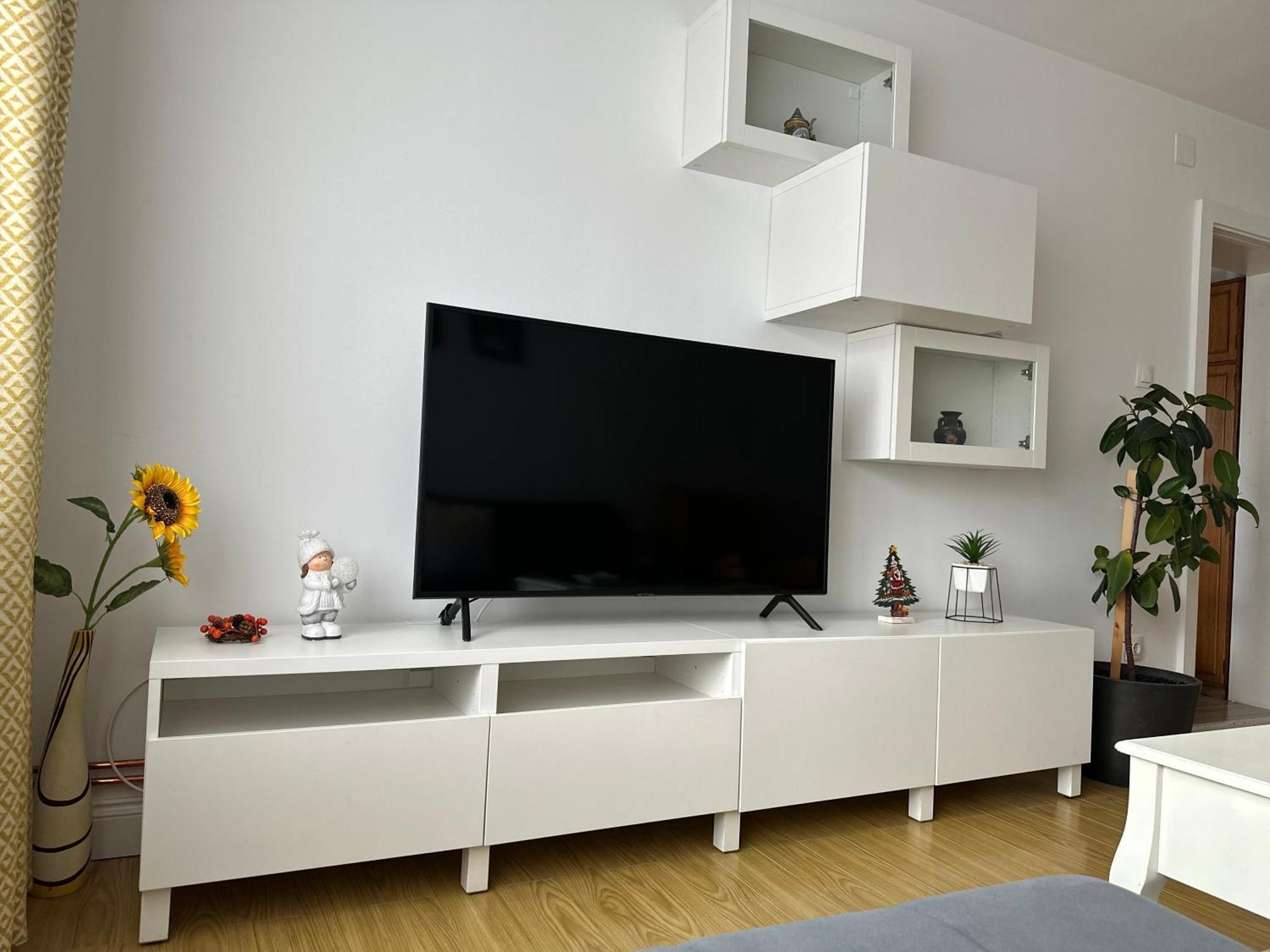Bucovina View Apartment 坎普朗莫道尼斯 外观 照片